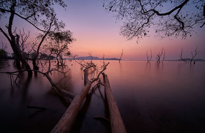 Bare tree by lake against sky during sunset