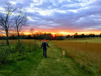 Rear view of woman with dog walking on field