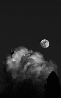 Low angle view of trees against sky at night