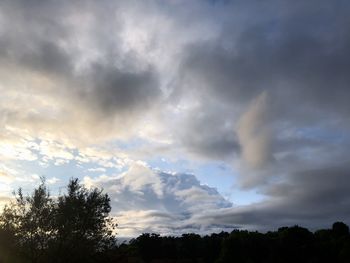 Low angle view of silhouette trees against sky