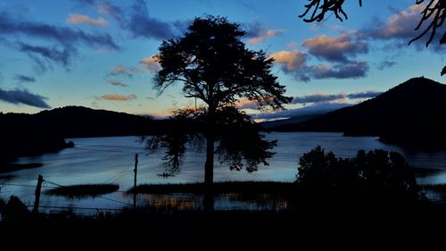 Silhouette trees by lake against sky during sunset