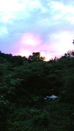Scenic view of landscape against cloudy sky