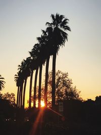 Silhouette palm trees against clear sky during sunset