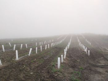 Scenic view of cemetery against sky