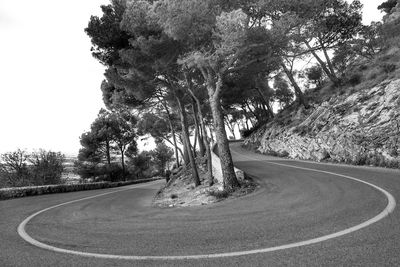 Empty road amidst trees against sky