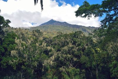 Scenic mountain landscapes against sky, mount meru in arusha national park, tanzania