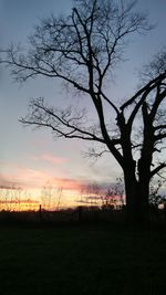 Silhouette tree on field against sky at sunset