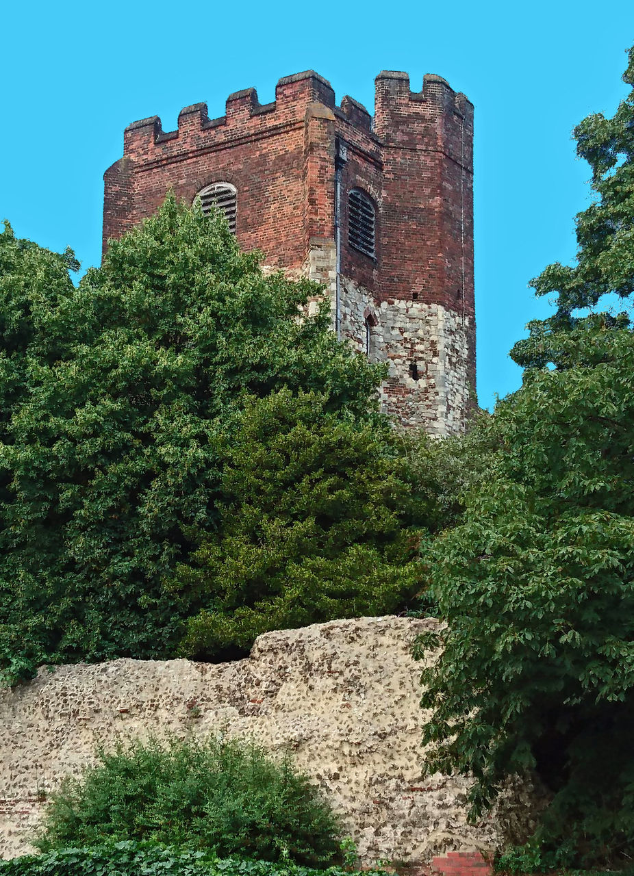 architecture, tree, built structure, low angle view, building exterior, clear sky, history, castle, the past, medieval, tower, green color, surrounding wall, fortified wall, growth, outdoors, fort, plant, overgrown, tall, nature, tranquility, day, sky, weathered, blue, tall - high, fortress, tranquil scene