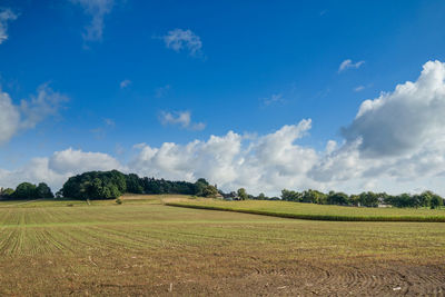Scenic view of agricultural field against sky