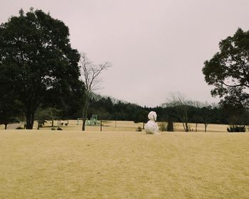 Man in park against clear sky