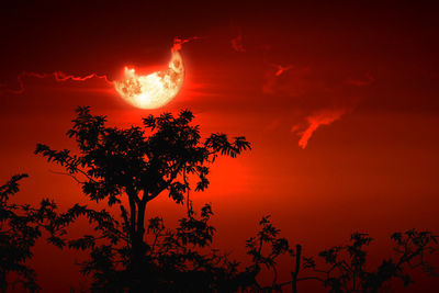 Low angle view of silhouette tree against sky during sunset