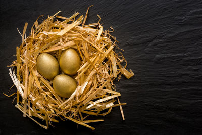 High angle view of eggs in nest