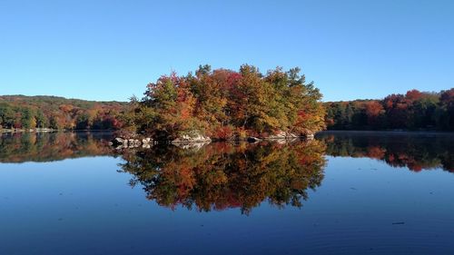 Reflection of trees in calm lake