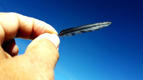 Close-up of butterfly on hand