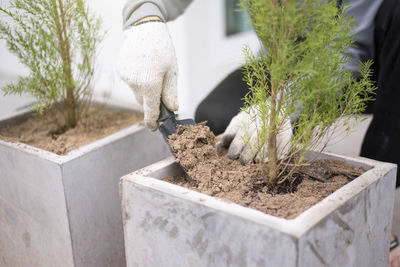 Low section of man standing by potted plants