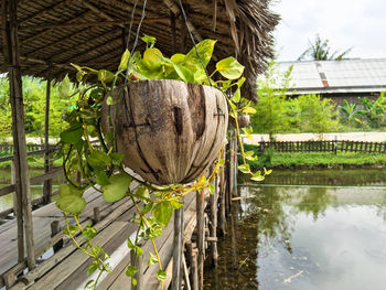 Potted plants hanging from pier in lake