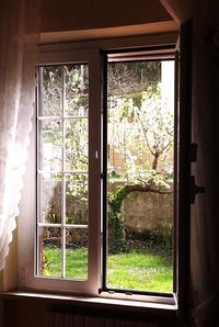 Trees seen through glass window