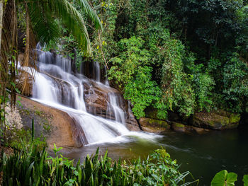 Scenic view of waterfall in forest