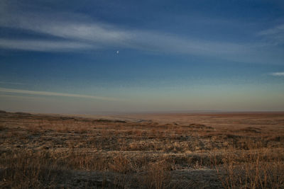 Scenic view of landscape against blue sky