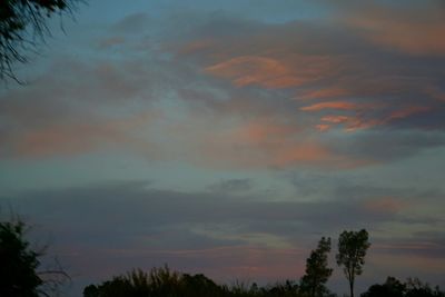 Low angle view of silhouette trees against dramatic sky