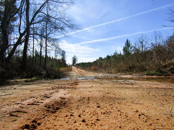 Trees on landscape against sky