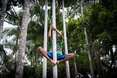 Upside down image of man hanging on tree trunk in forest