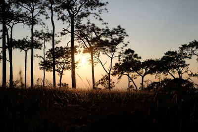 Silhouette trees on field against sky during sunset