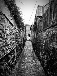 Footpath amidst houses against sky