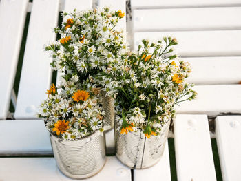 Close-up of potted plants in pot