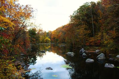 Scenic view of lake by trees during autumn