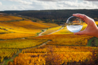 Cropped hand of woman holding crystal ball against landscape