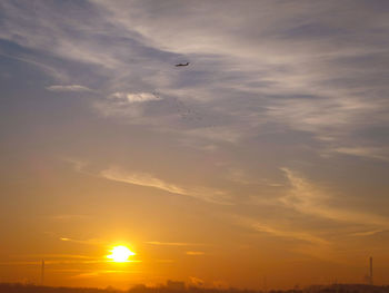 Silhouette birds flying against sky during sunset