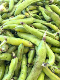 High angle view of green vegetables for sale at market stall