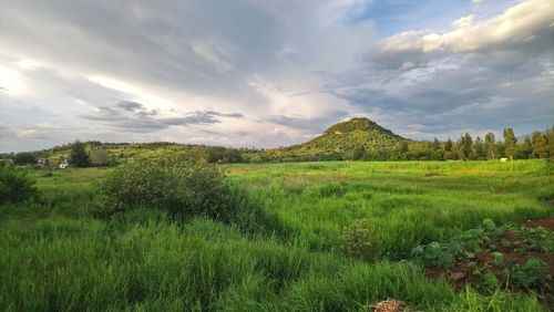 Scenic view of landscape against sky