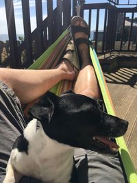 Low section of woman with dog on railing