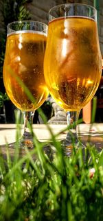 Close-up of beer in glass