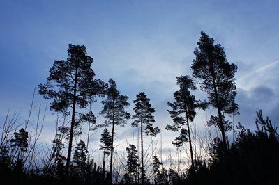 Low angle view of trees against sky