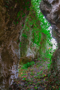 Scenic view of cave