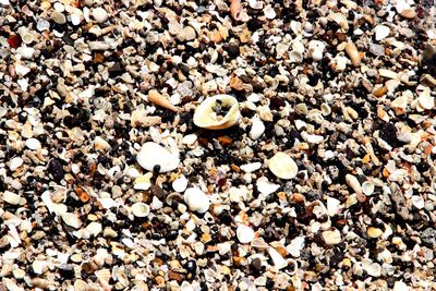 Full frame shot of pebbles