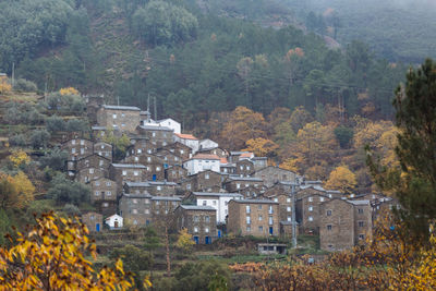 High angle view of townscape and trees in forest