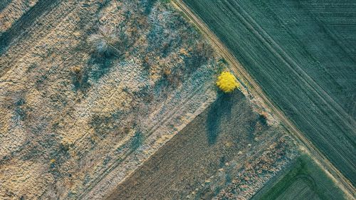 High angle view of agricultural field