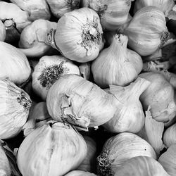 Full frame shot of pumpkins for sale at market stall