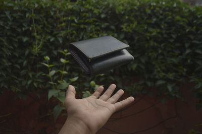 Close-up of person holding wallet against plants