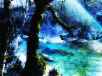 Scenic view of sea against trees