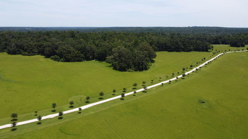 High angle view of trees on field against sky