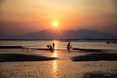 Scenic view of sunset over sea