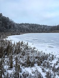 Scenic view of snow covered landscape