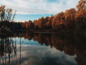 Autumn trees by calm lake against sky