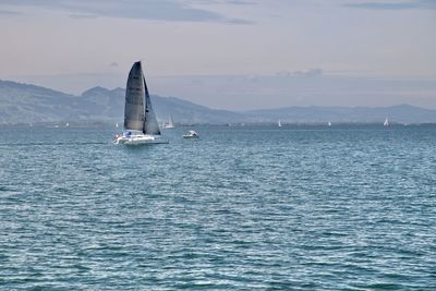 Sailboat sailing on sea against sky