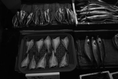 Close-up of fish for sale